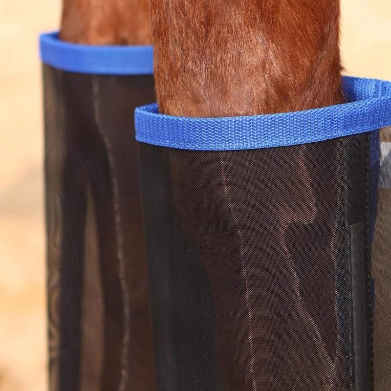 31BE Horse Fly Boot Protective - Brushing Boot Horse ulasan dan harga
