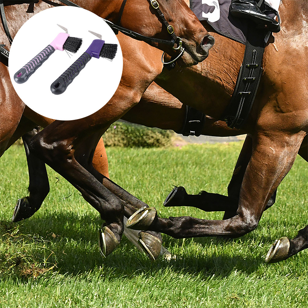 2Pcs Horse Hoof Pick Brush Rel - Brushing Boot Horse ulasan dan harga