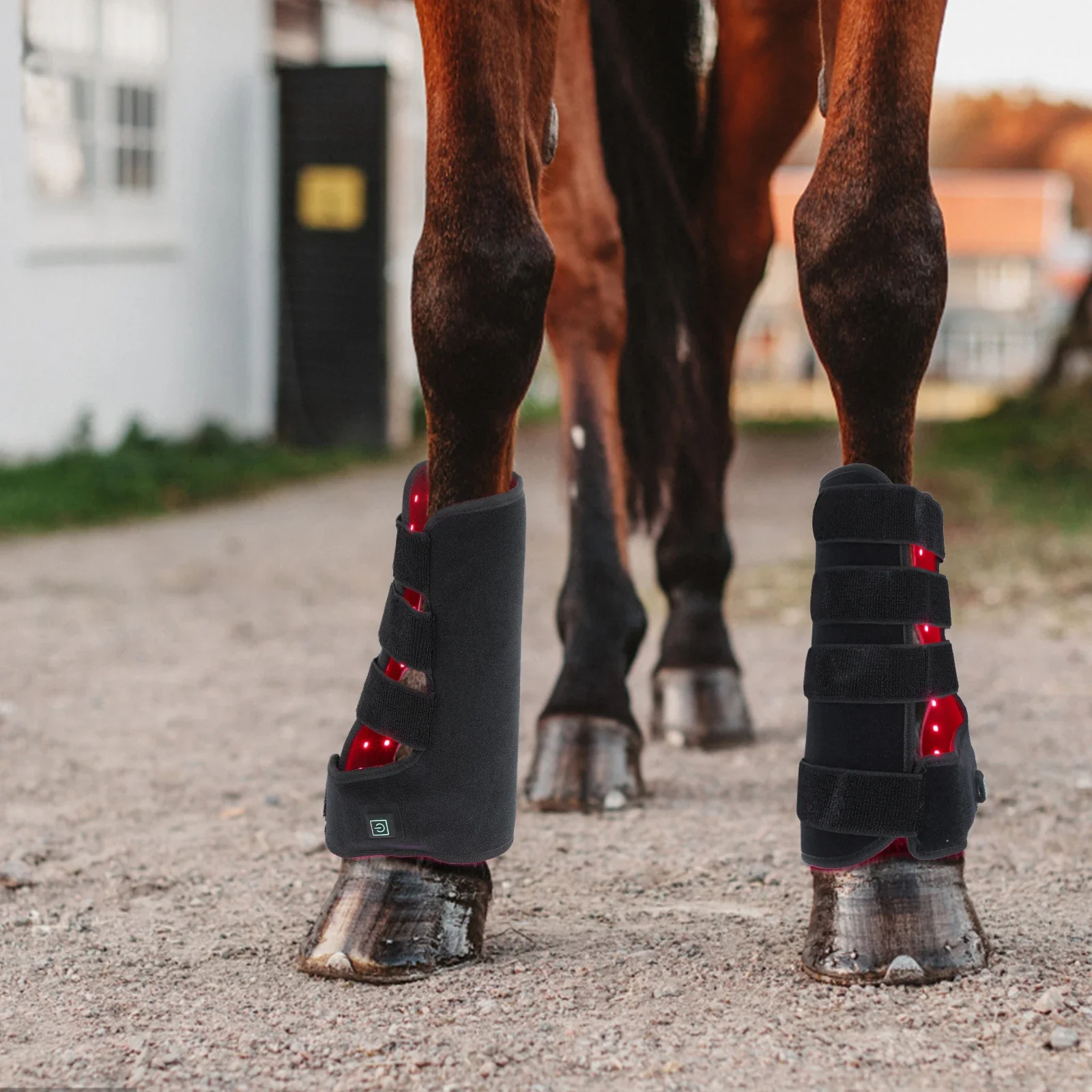 New 660nm 850nm Red light ther - Brushing Boot Horse ulasan dan harga