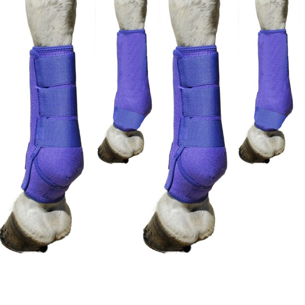 4pcs/set Colorful Horse Sport  - Brushing Boot Horse ulasan dan harga