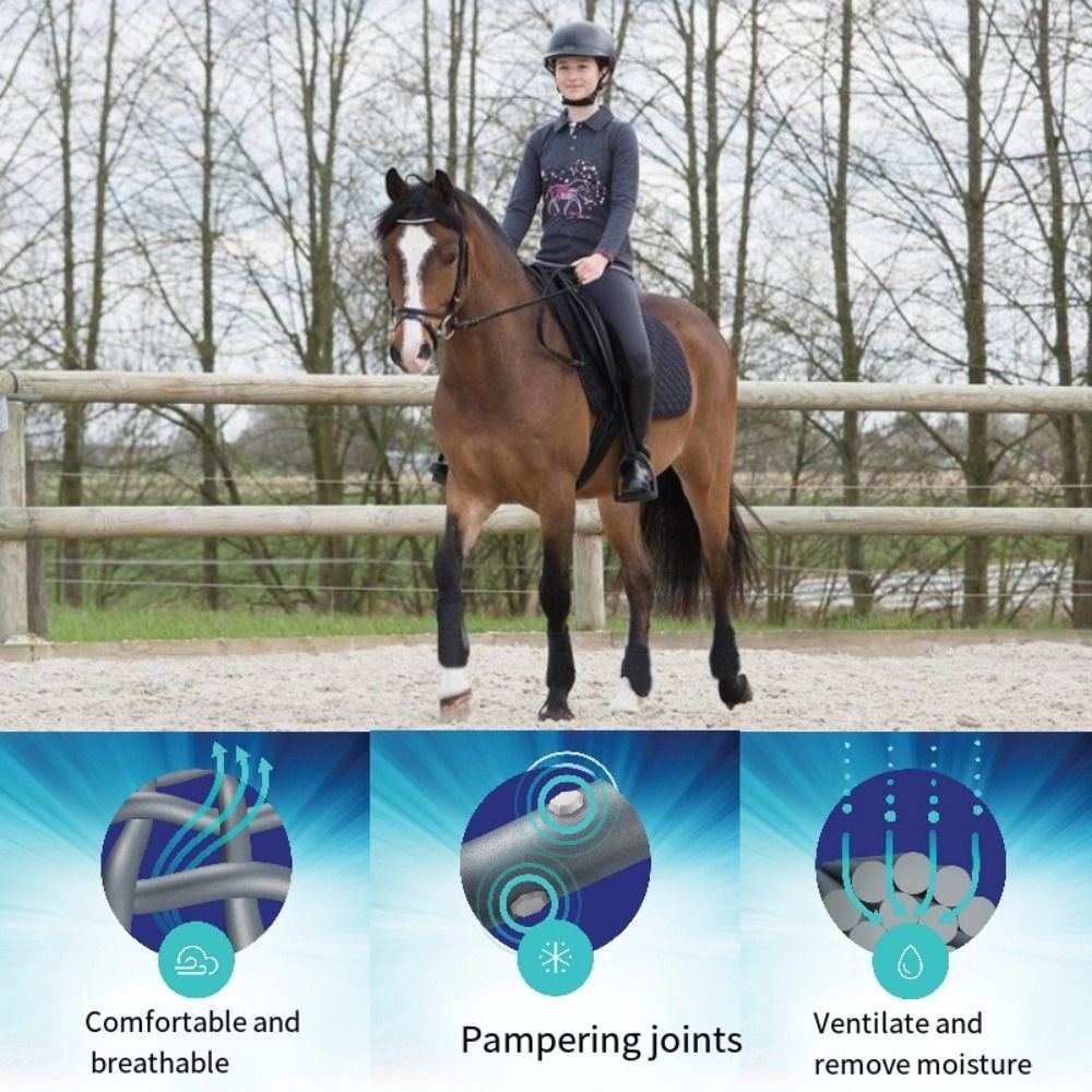 4pcs/set Colorful Horse Sport  - Brushing Boot Horse ulasan dan harga