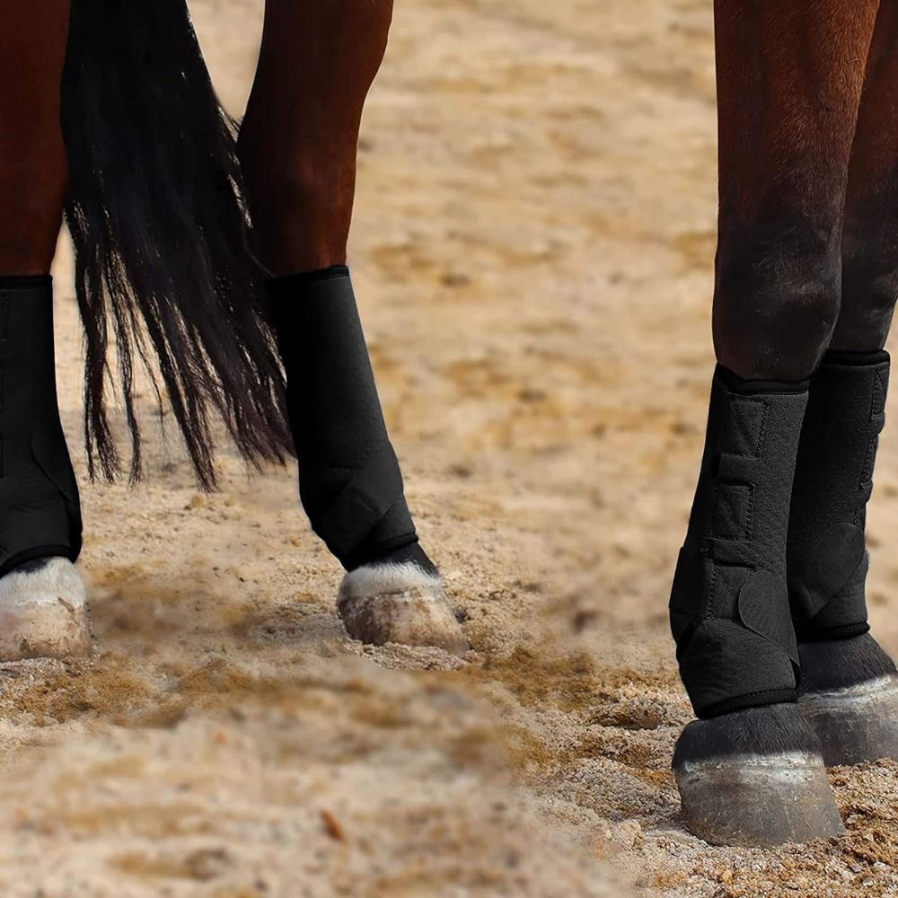 4pcs/set Colorful Horse Sport  - Brushing Boot Horse ulasan dan harga