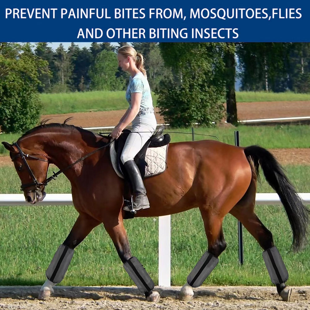 4Pcs Mesh Fly Boots For Horses - Brushing Boot Horse ulasan dan harga
