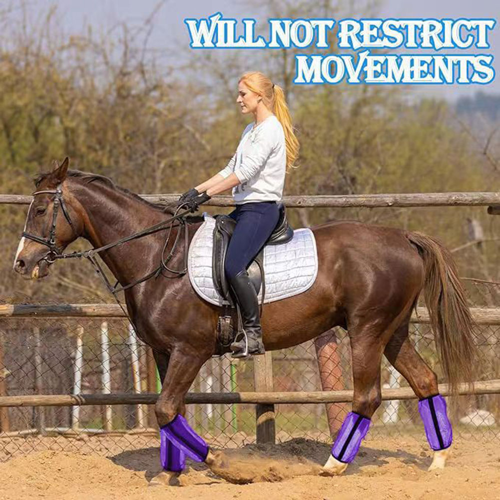 4Pcs Mesh Fly Boots For Horses - Brushing Boot Horse ulasan dan harga